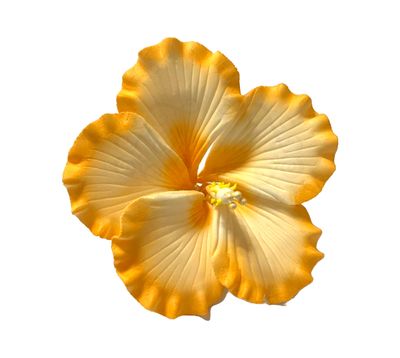 GUMAMELA ORANGE TOPPER