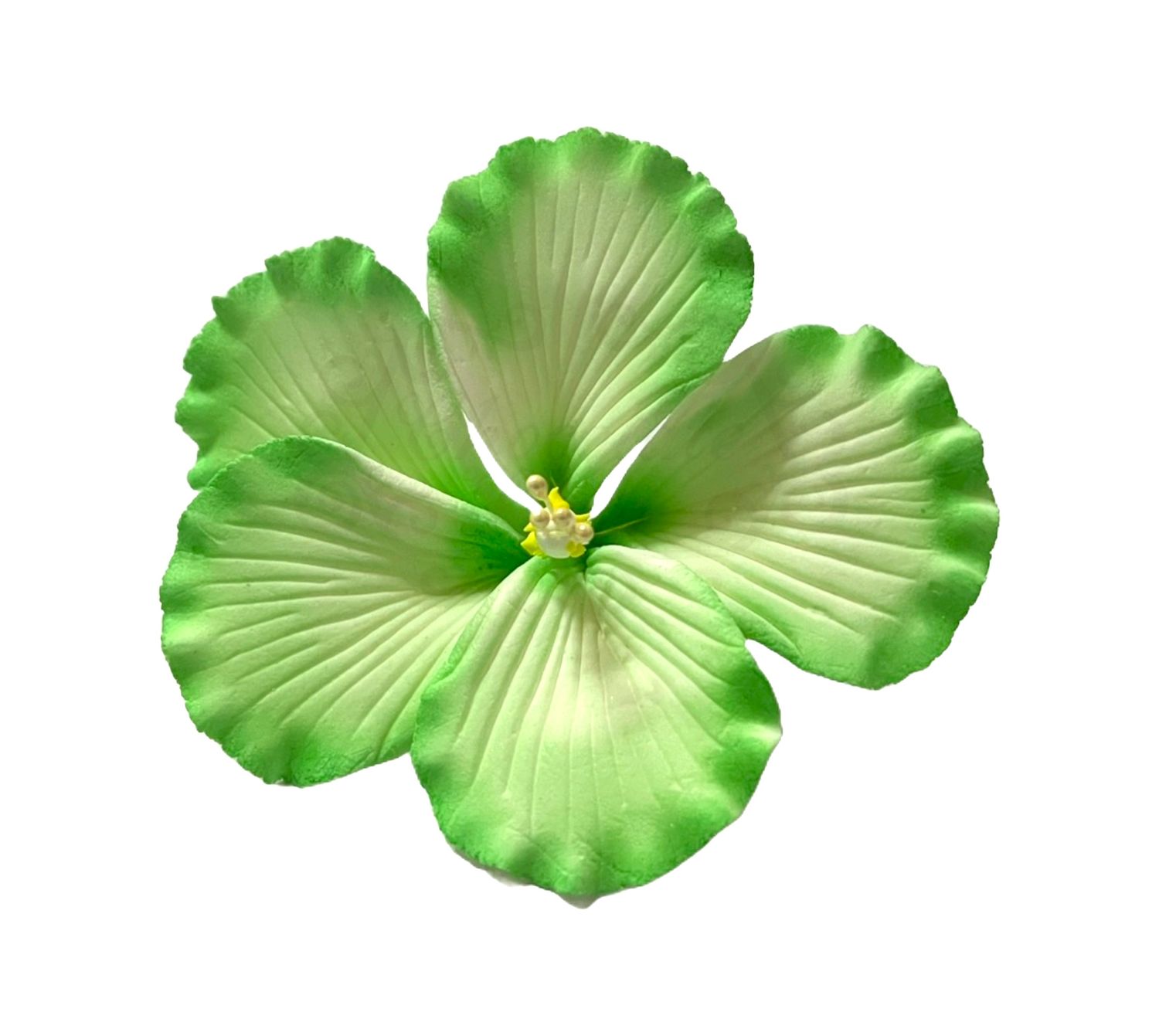 GUMAMELA GREEN TOPPER