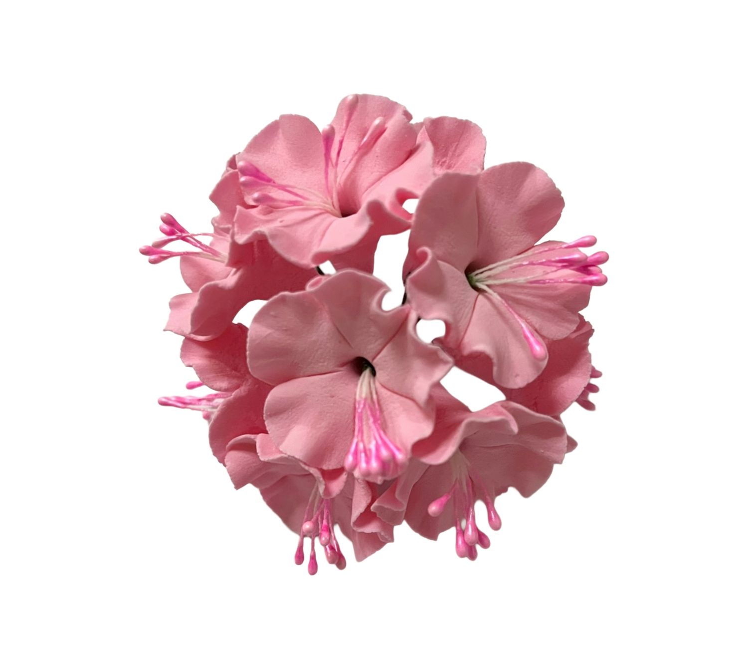 CHERRY BLOSSOM PINK EDIBLE TOPPER 10&#39;s
