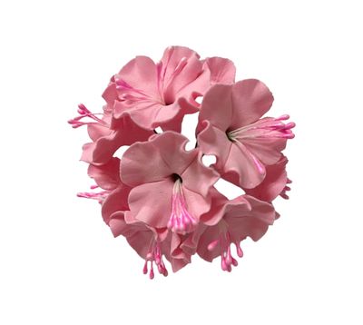 CHERRY BLOSSOM PINK EDIBLE TOPPER 10&#39;s