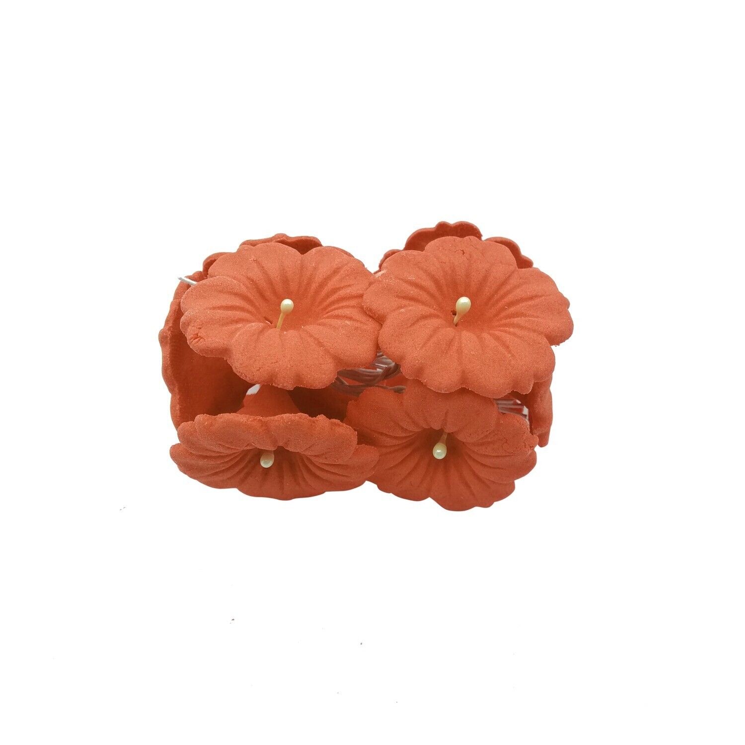 APPLE BLOSSOM ORANGE EDIBLE TOPPER 10&#39;s