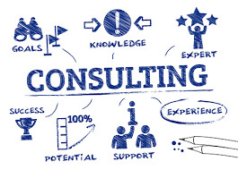 IT Consultations (Per Hour)