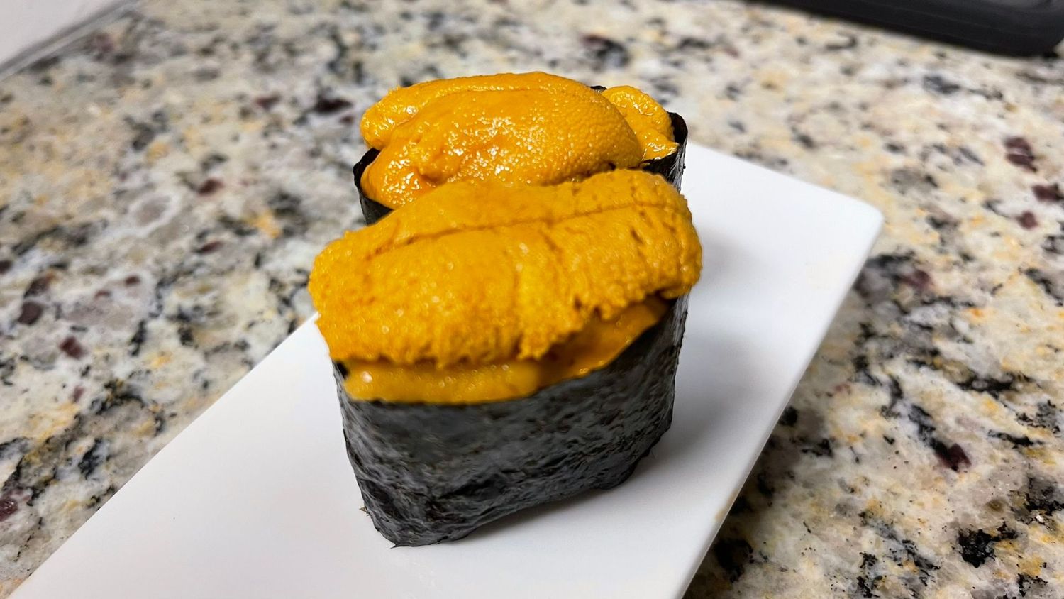 Sea Urchin