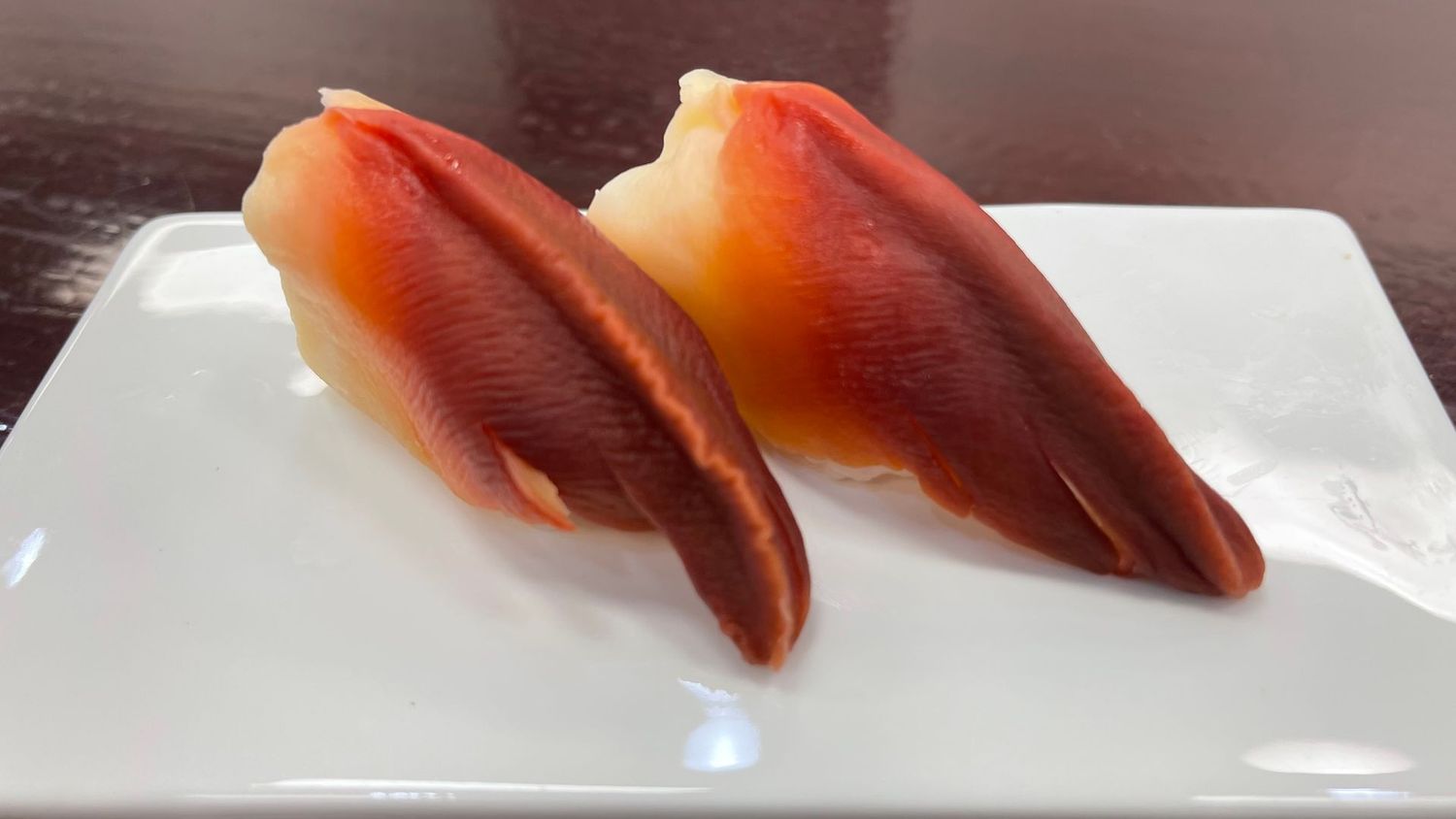 Surf Clam