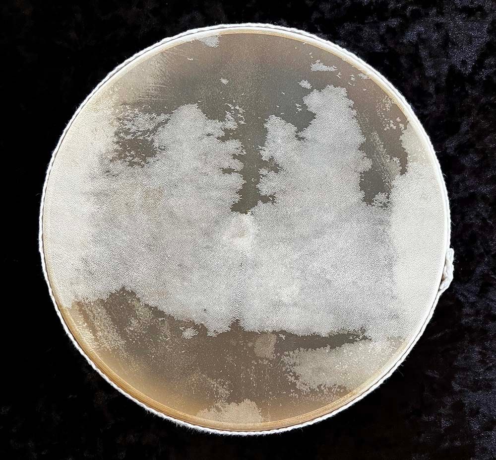 W0171 - 12" Goat Hide Ocean Drum