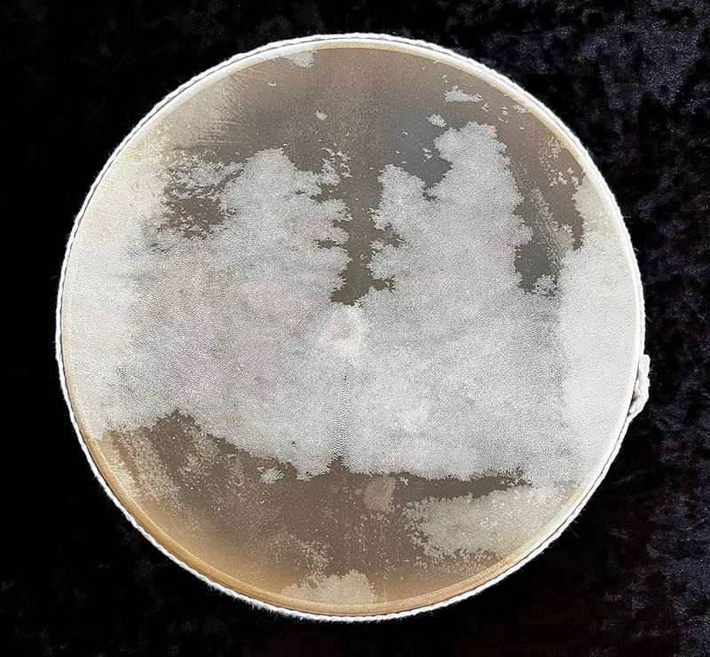 W0171 - 12" Goat Hide Ocean Drum