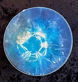 W0183 - 12" Goat Hide Ocean Drum