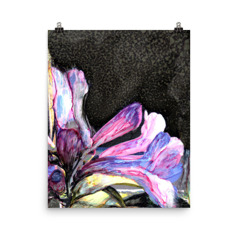 Trumpet vine - Fine art print