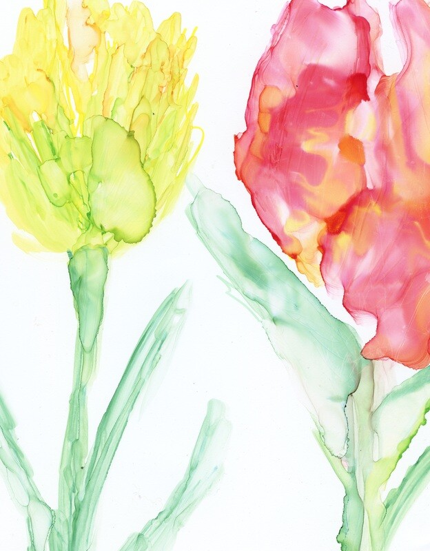 Tulips 2