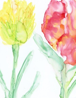 Tulips 2