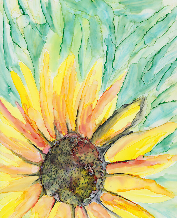 Sunflower
