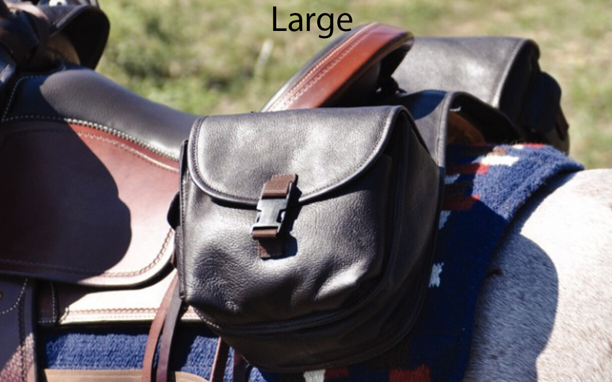 Leather Saddle Bags - Rear