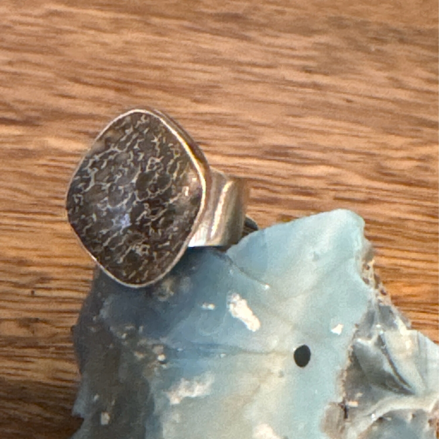 Coprolite Fossil Dinosaur Sterling Silver Ring