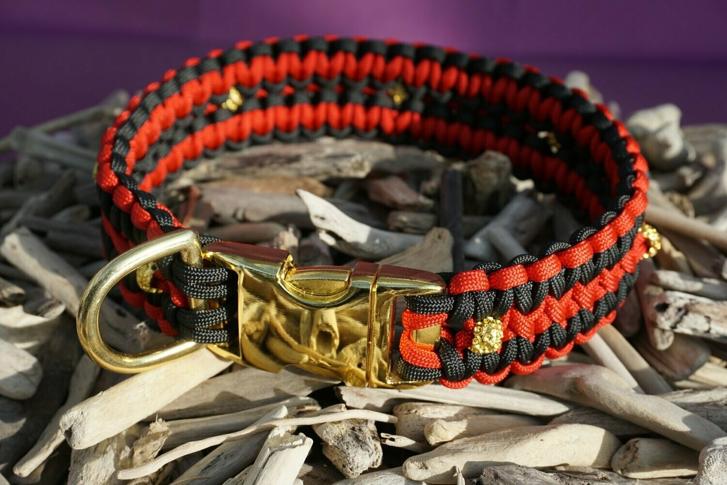 MALE  Hcoll#7 MALE  Hcoll#7