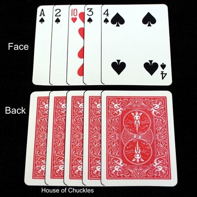 Clip Card - Poker Size - Custom Printed Bicycle Gaff Playing Card - Optical Illusion