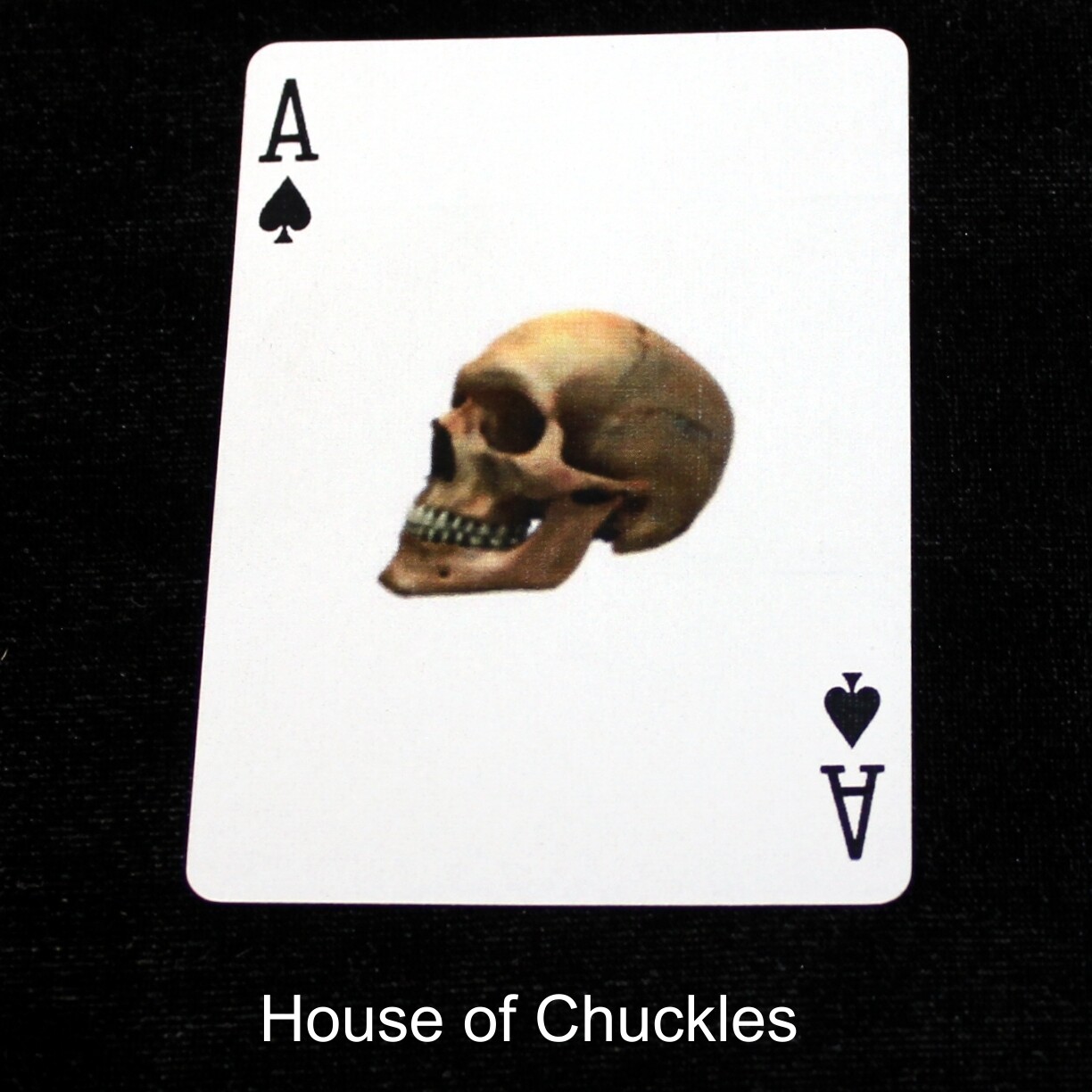 Ace of Spades - Skull - Custom Printed Bicycle Gaff Playing Card