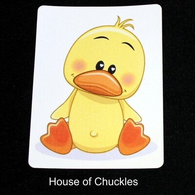 Wildlife Cards