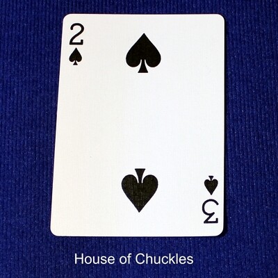 2 of Spades / 3 of Spades - Mis-Indexed - Custom Printed Bicycle Gaff Playing Card