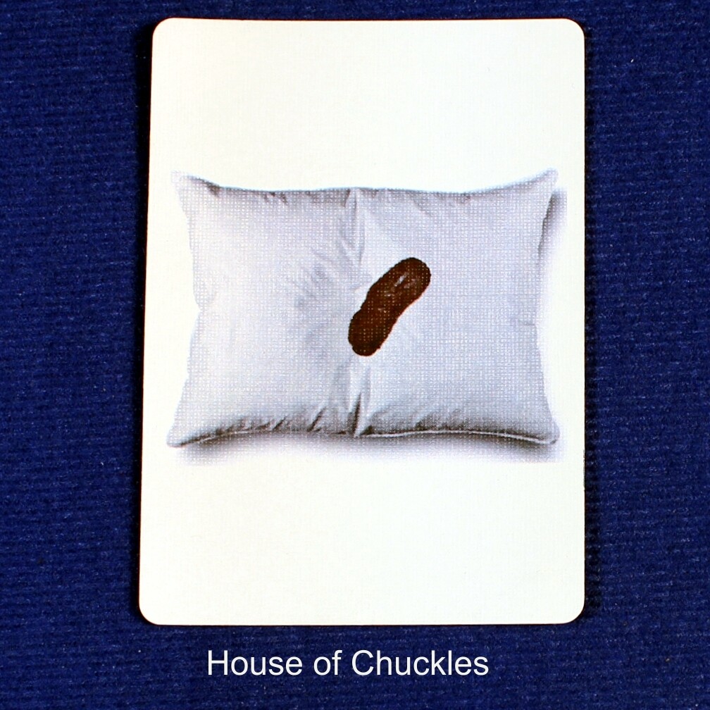 Pillow Turd - Custom Printed Bicycle Gaff Playing Card