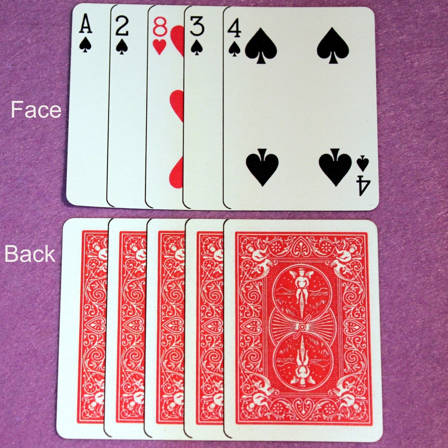 Clip Card - Poker Size - Custom Printed Bicycle Gaff Playing Card - Optical Illusion