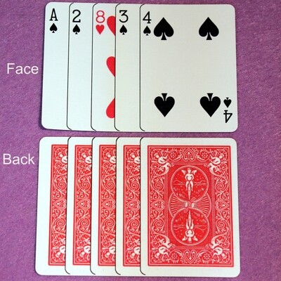 Clip Card - Poker Size - Custom Printed Bicycle Gaff Playing Card - Optical Illusion