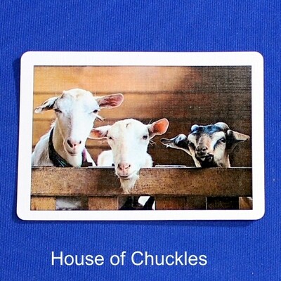 You Want To See A Picture Of My Kids? - Custom Printed Bicycle Gaff Playing Card