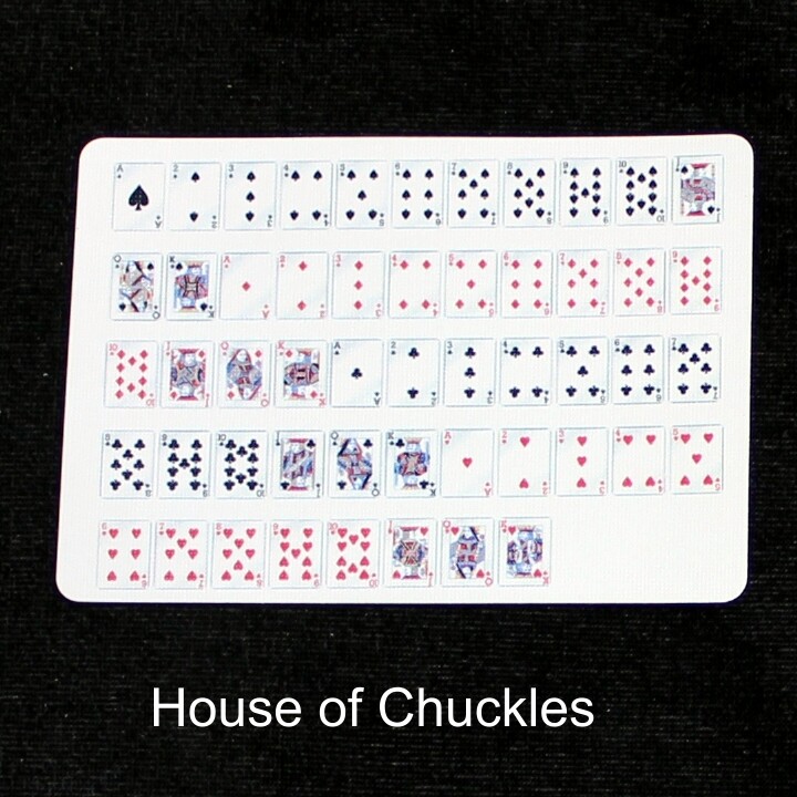 52 on 1 Landscape #1 - Bicycle, Custom Printed Gaff Playing Card - RED