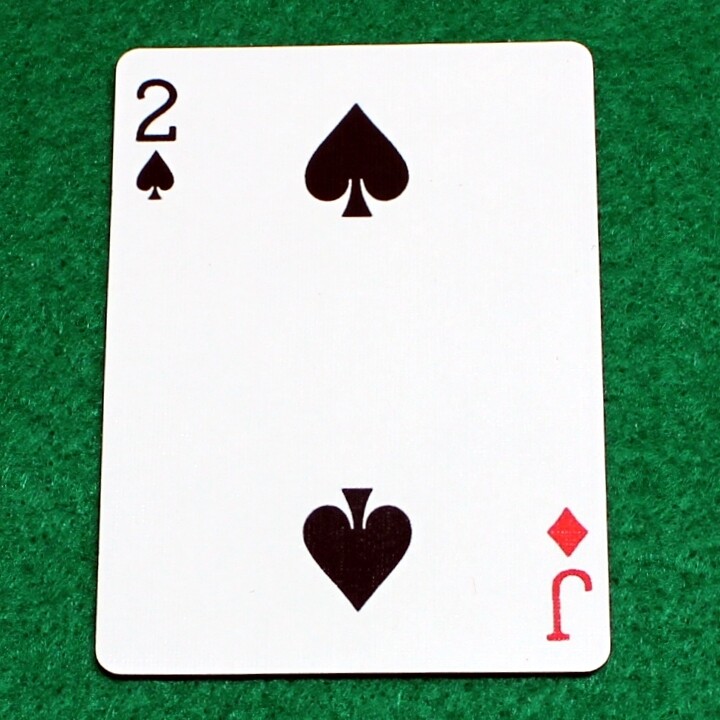 2 of Spades / Jack of Diamonds - Mis-Indexed - Bicycle, Custom Printed Gaff Playing Card
