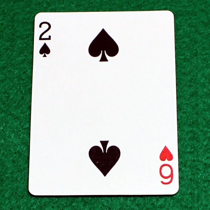 2 of Spades / 6 of Hearts - Mis-Indexed - Bicycle, Custom Printed Gaff Playing Card