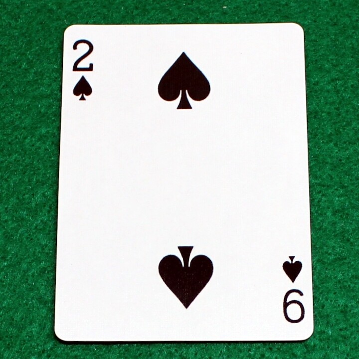 2 of Spades / 9 of Spades - Mis-Indexed - Bicycle, Custom Printed Gaff Playing Card