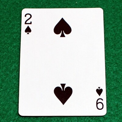 2 of Spades / 9 of Spades - Mis-Indexed - Bicycle, Custom Printed Gaff Playing Card