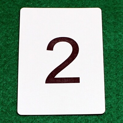 Number 2 - Custom Printed Bicycle Gaff Playing Card