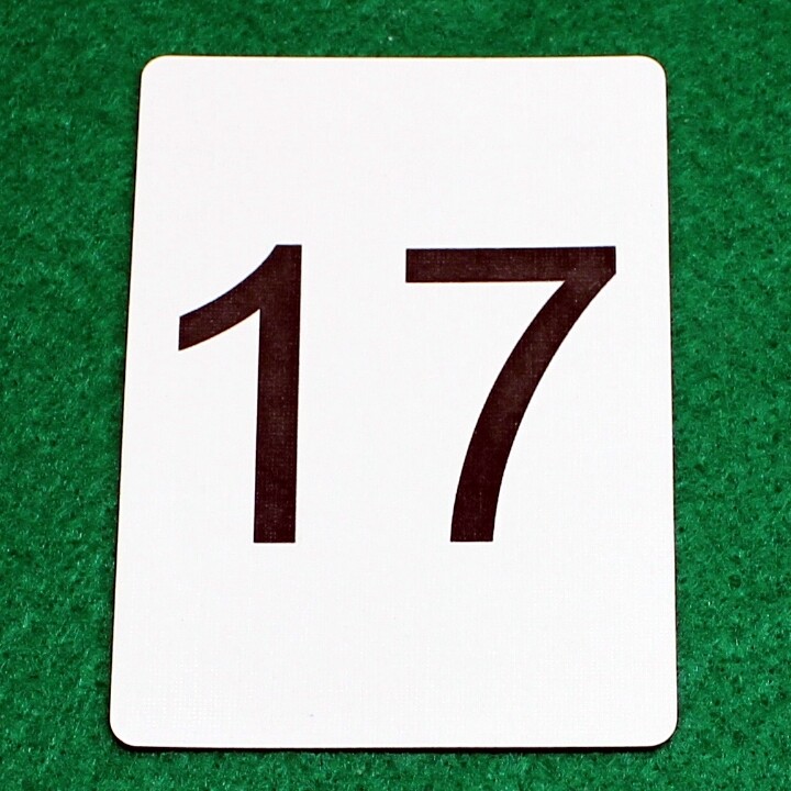 Number 17 - Custom Printed Bicycle Gaff Playing Card