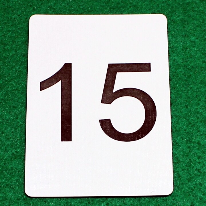 Number 15 - Custom Printed Bicycle Gaff Playing Card