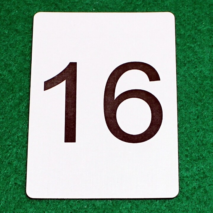 Number 16 - Custom Printed Bicycle Gaff Playing Card