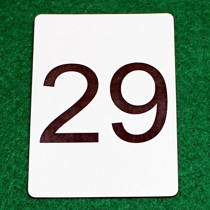 Number 29 - Custom Printed Bicycle Gaff Playing Card