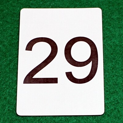 Number 29 - Custom Printed Bicycle Gaff Playing Card