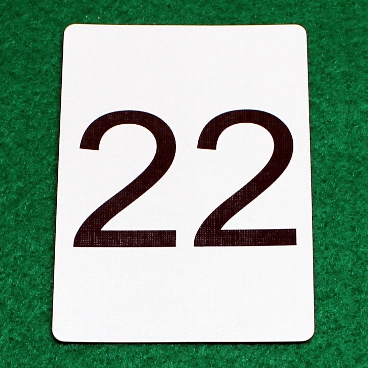Number 22 - Custom Printed Bicycle Gaff Playing Card