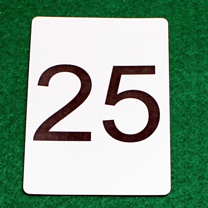 Number 25 - Custom Printed Bicycle Gaff Playing Card
