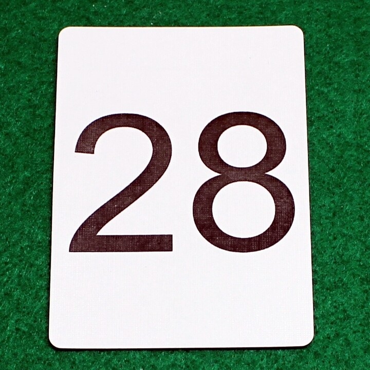Number 28 - Custom Printed Bicycle Gaff Playing Card