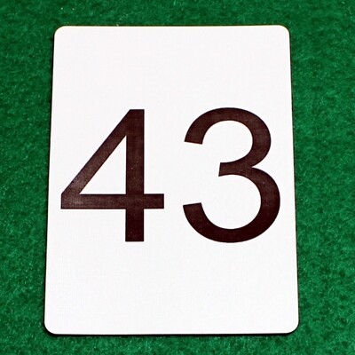 Number 43 - Custom Printed Bicycle Gaff Playing Card