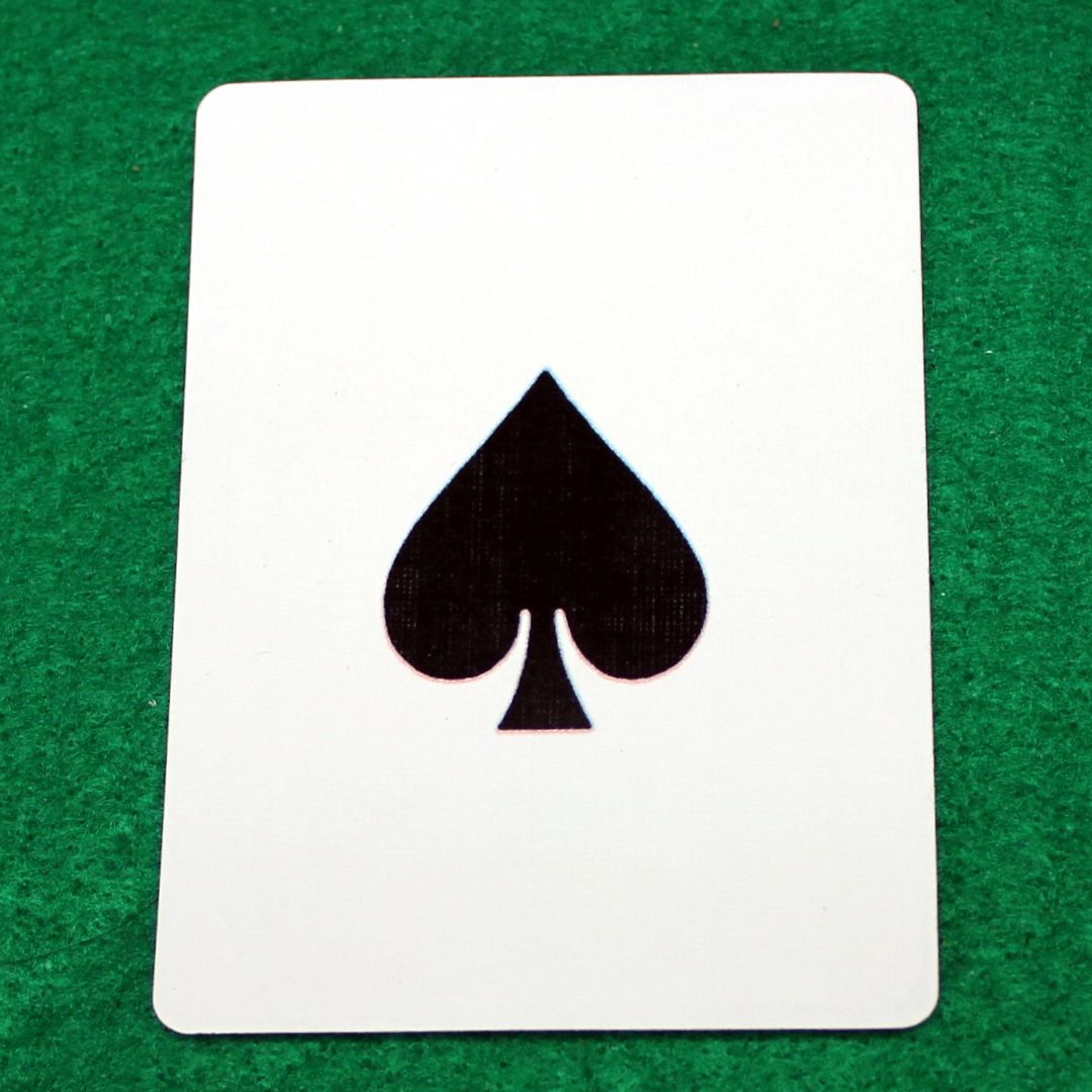 Spade Large Print - Bicycle Custom Printed Gaff Playing Card