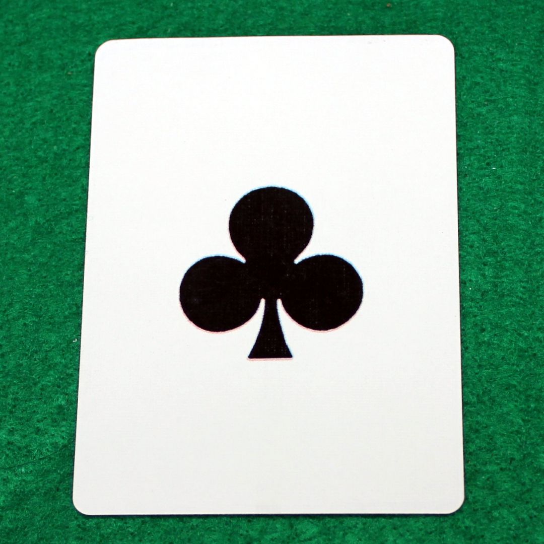 Club Large Print - Bicycle Custom Printed Gaff Playing Card