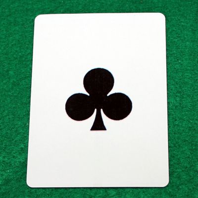 Club Large Print - Bicycle Custom Printed Gaff Playing Card