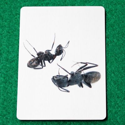 Gag Cards