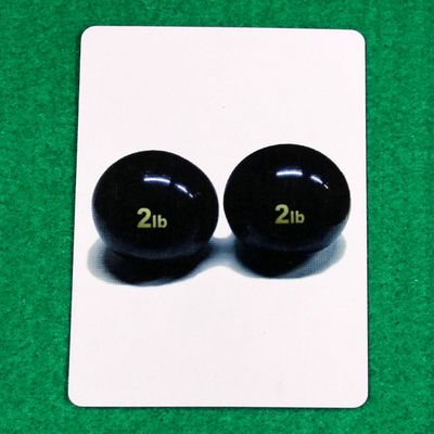 I Have 2 lb. Balls, You Want To See A Picture? - Custom Printed Bicycle Gaff Playing Card