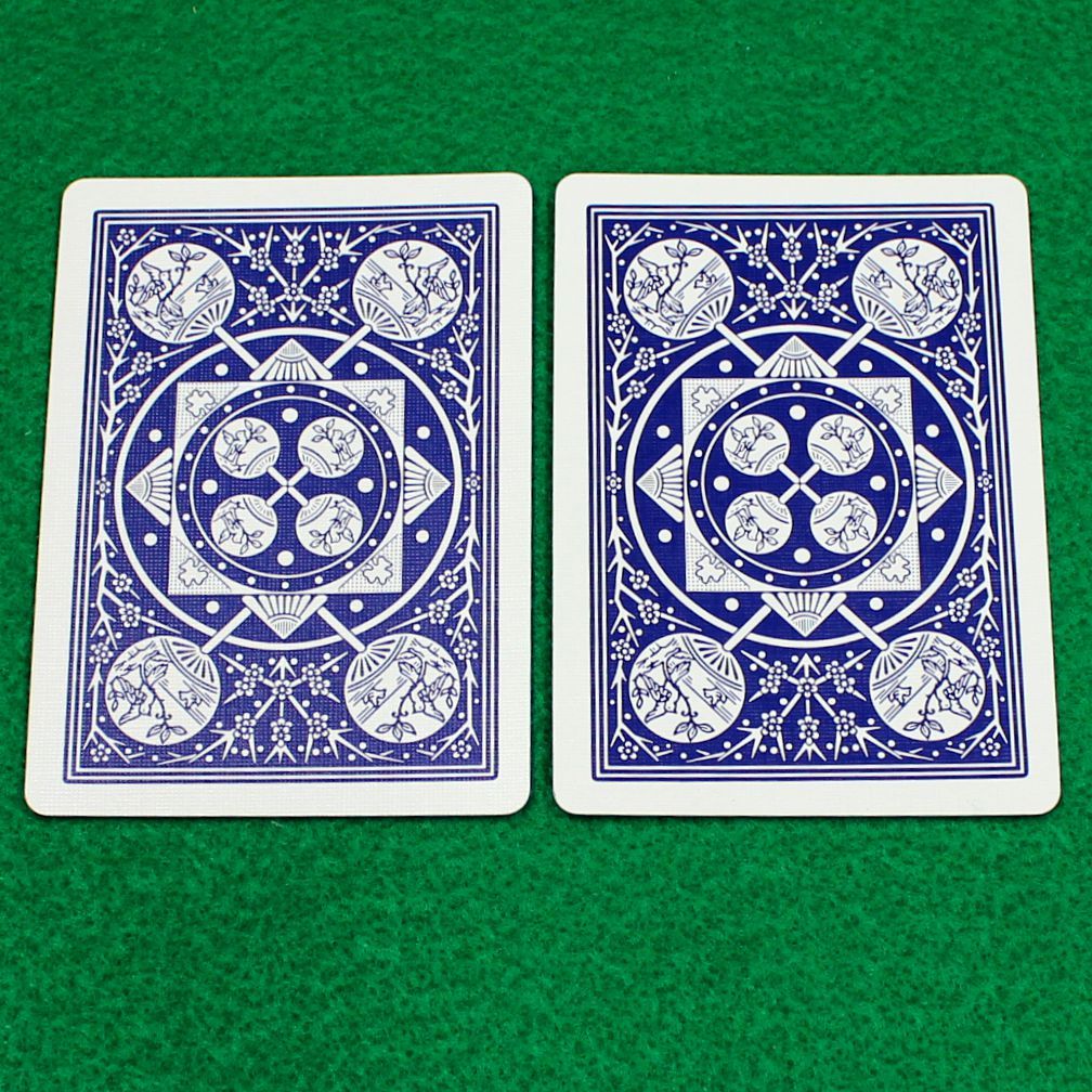 Double Back - Blue Face, Blue Back, Tally-Ho Fan Back, Playing Card