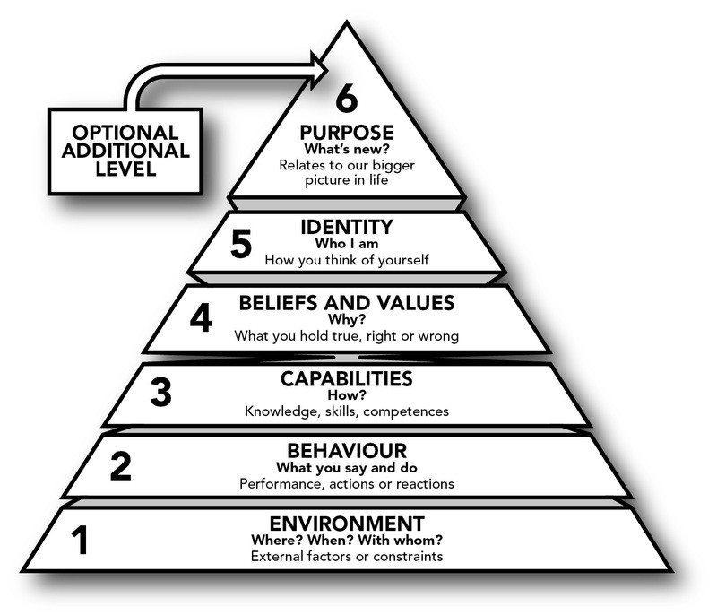 The thirty year plan as an healthy alternative to Dilts' logical levels
