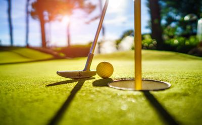 Mini Golf Discount Card