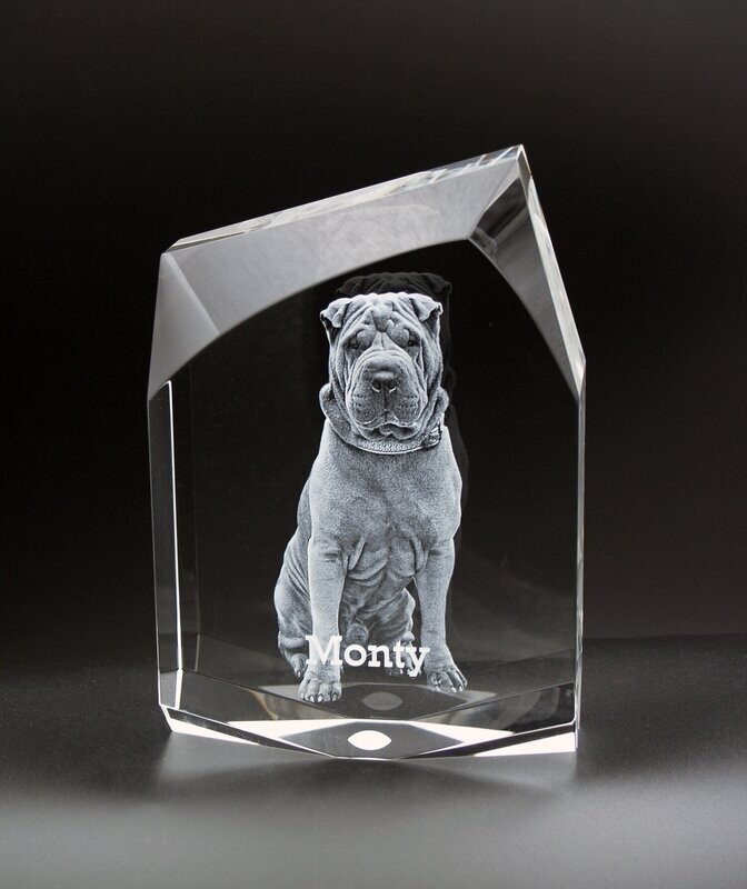 Mountain Top - For Our Four Legged Loved Ones